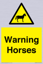 WV7805: Warning Horses