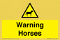 WV7805: Warning Horses