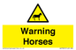 WV7805: Warning Horses