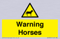 WV7805: Warning Horses