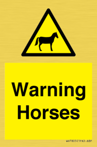 WV7805: Warning Horses