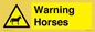 WV7805: Warning Horses