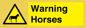 WV7805: Warning Horses