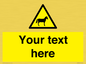 WV7826: Custom warning horses