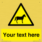 WV7826: Custom warning horses