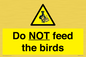 WV7943: Do NOT feed the birds