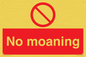 YP5144: No Moaning