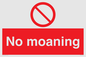 YP5144: No Moaning