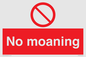 YP5144: No Moaning
