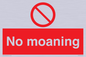 YP5144: No Moaning