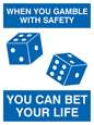 YP5148: Gamble with safety