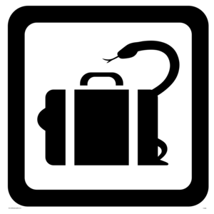 YV3066: Snakes on a Plane